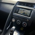 0 Jaguar - Thumbnail 14