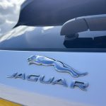 0 Jaguar - Thumbnail 6